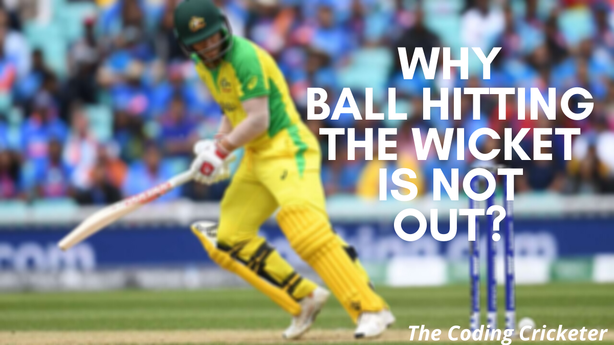 Why Ball Touching The Bails Not Given&nbsp;Out?